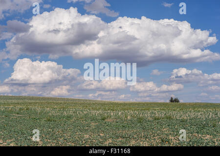 White cumulus clouds in the blue sky over autumn fields Lower Silesia Poland Stock Photo