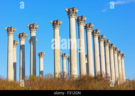 National Capitol Columns in the early morning. Stock Photo