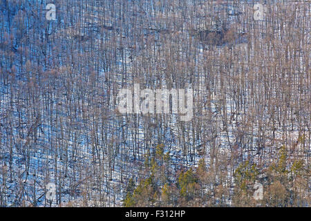 Sleeping beauty of a wintry canyon in West Virginia, USA. Stock Photo