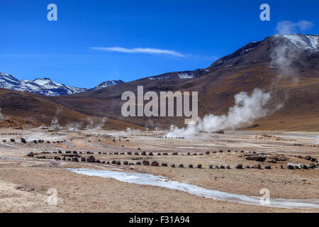 Geyser El Tatio (Atacama, Chile) Stock Photo