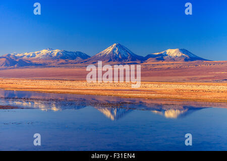 Volcan Licancabur reflected in Laguna Tebinquinche (Atacama, Chile) Stock Photo