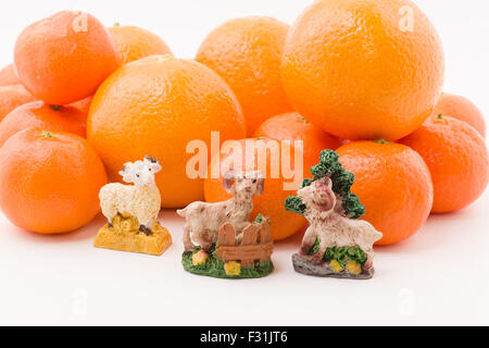 hill mandarin with figurines sheep located on a white background Stock Photo