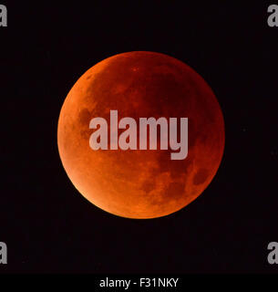 Supermoon, Moon during Lunar eclipse Stock Photo