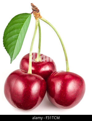 Three ripe red cherries on the white background. Stock Photo