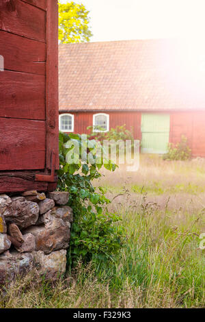 Image of abandoned farm. Skane, Sweden. Stock Photo