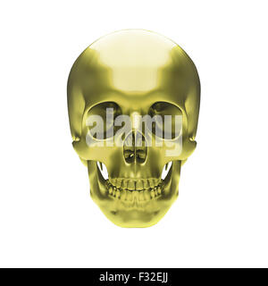 Gold metallic skull on white background Stock Photo
