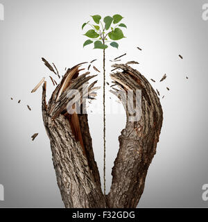 Breaking through concept as a green sapling growing upward and destroying a tree barrier as a business success metaphor for potential ambition and strong will to succeed. Stock Photo