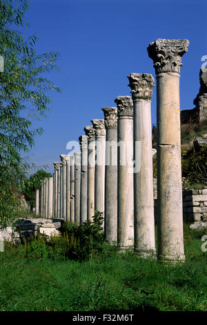 Turkey, Ephesus, Agora, roman corinthian columns Stock Photo