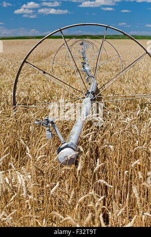 Moreland, Idaho - Irrigation equipment in an Idaho wheat field. Stock Photo
