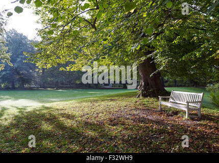 Bench under trees in sunlight during autumn morning at Clingendael estate, The Hague, Netherlands. Stock Photo