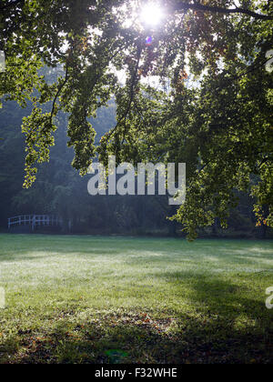 Autumn morning at Clingendael estate, The Hague, Netherlands. Stock Photo