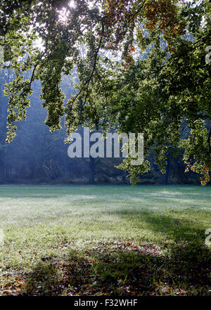 Autumn morning at Clingendael estate, The Hague, Netherlands. Stock Photo