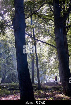 Autumn morning at Clingendael estate, The Hague, Netherlands. Stock Photo