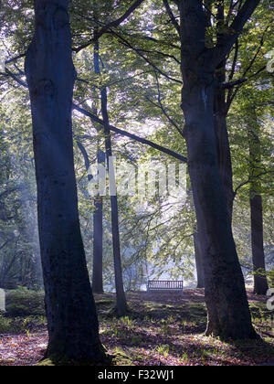 Autumn morning at Clingendael estate, The Hague, Netherlands. Stock Photo