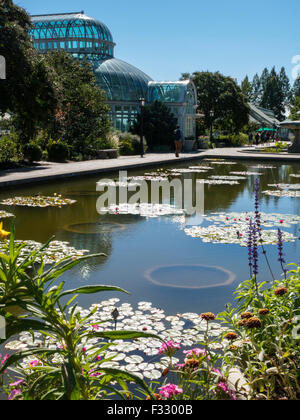 Lily Pool Terrace in The Brooklyn Botanic Garden, NYC, USA Stock Photo
