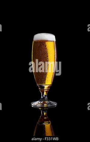 Glass of light beer isolated on a black background. Stock Photo