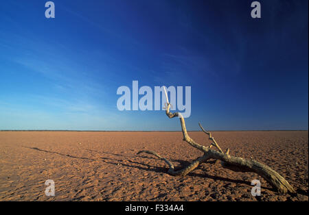 DESERT SCENE LANDSCAPE, SIMPSON DESERT, AUSTRALIA Stock Photo