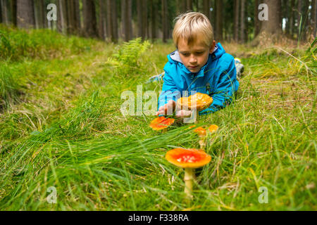 Child blond Boy examine a toadstool in the grounds, wood, forest autumn, amanita, poisonous mushrooms Stock Photo