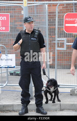 A Greater Manchester Police Dog Handler with his search dog. Stock Photo
