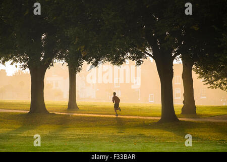 A man runs through an avenue of trees in the Quarry in Shrewsbury, Shropshire as early morning sunlight shines through mist. Stock Photo