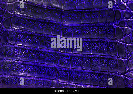 Crocodile genuine leather background Stock Photo