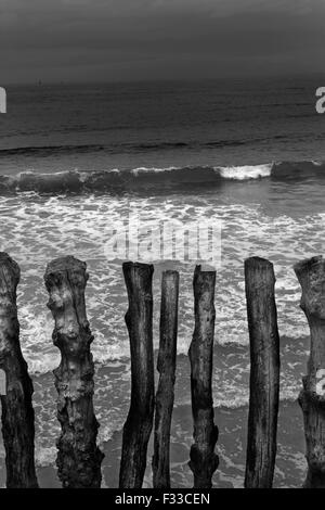 Barrier of wooden posts on a beach, Saint Malo, France, Europe. Stock Photo