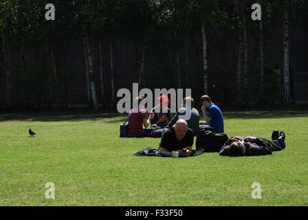 people relaxing on the lawns of South Bank London UK Stock Photo