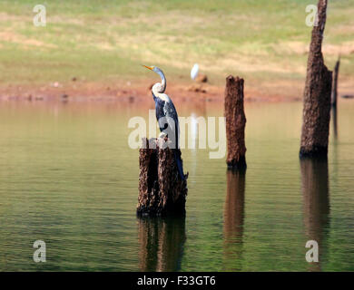 Periyar Tiger Reserve Stock Photo