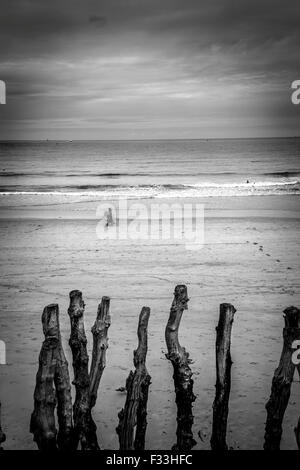 Barrier of wooden posts on a beach, Saint Malo, Brittany, France, Europe. Stock Photo