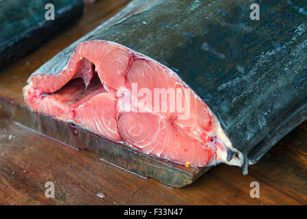 Tuna Fish Market in Galle, Sri Lanka Stock Photo