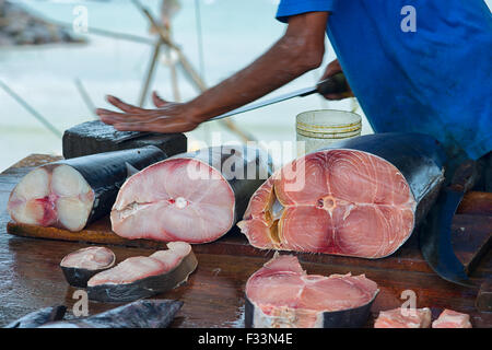 Tuna Fish Market in Galle, Sri Lanka Stock Photo