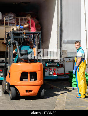 Two Scarborough dock workers in oilskins unloading a lorry. Stock Photo