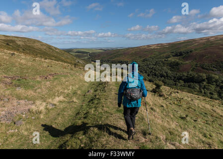 Walking in the Harthope Valley Northumberland Stock Photo