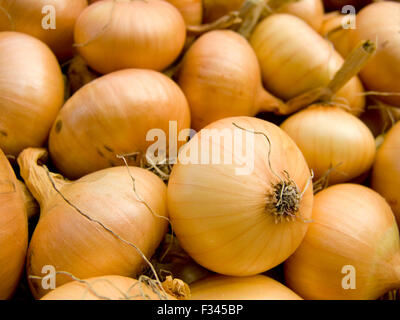 A pile of beautiful bulb onions on a counter Stock Photo