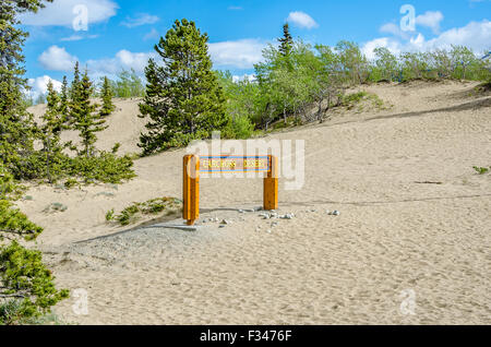 Carcross Desert in Yukon Canada in June 2013 Stock Photo