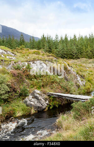 A bridge over a stream in the Connemara Mountains in Ireland Stock Photo