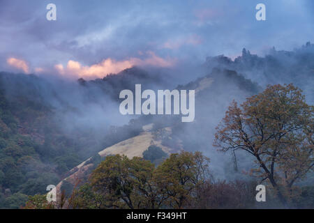 mist after a rain shower in the Kaweah Valley, Sequoia National Park, California, USA Stock Photo