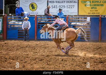Cowgirl barrel racing, Philomath Frolic & Rodeo, Oregon, USA Stock Photo