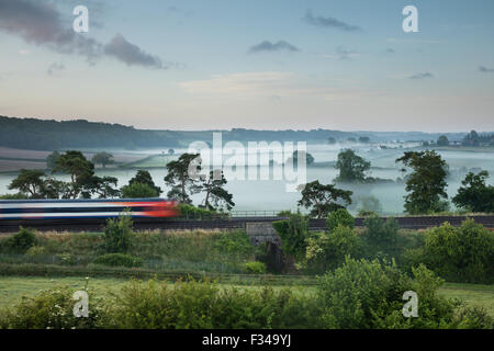 the London Waterloo to Exeter train passing Milborne Wick on a misty summer's morning, Somerset, England, UK Stock Photo