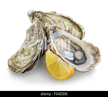 Oyster isolated on white background Stock Photo