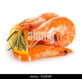Tiger shrimps with lemon slice and rosemary. Prawns with lemon slice and rosemary isolated on a white background. Seafood Stock Photo