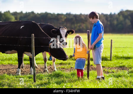 Happy kids feeding cows on a farm. Little girl and school age boy feed cow on a country field in summer. Stock Photo