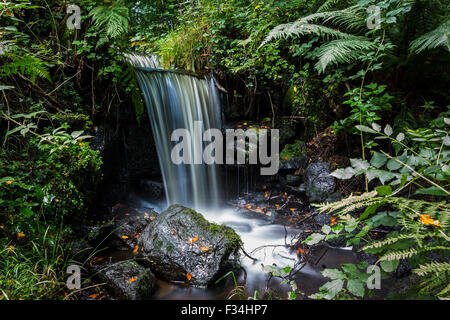 Waterfall seen along the Rivelin Valley Nature Trail  near Sheffield. Stock Photo