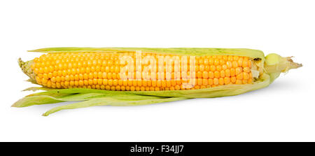 Single half peeled ear of corn isolated on white background Stock Photo