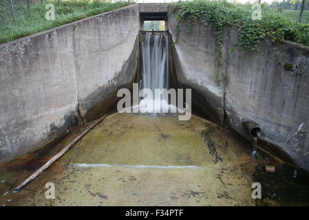 Waters streams over the spillway of a small concrete dam that blocks Hartman Creek and forms a small lake. Stock Photo