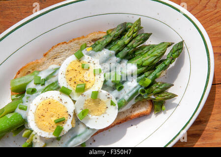 Asparagus on toast topped with Béchamel sauce, slices of hard-boiled egg, chives, and black pepper. Stock Photo