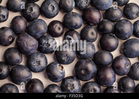 Fresh blueberries in close up Stock Photo