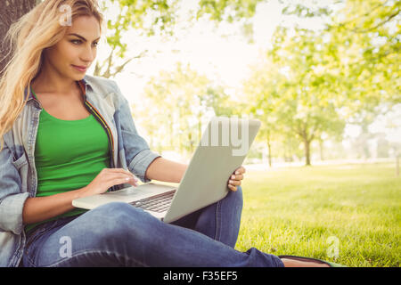Beautiful woman using laptop at park Stock Photo