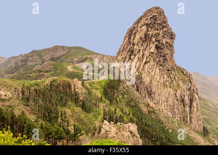 Garajonay National Park  La Gomera Canary Islands Spain Stock Photo