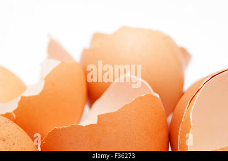 broken eggs shells Stock Photo